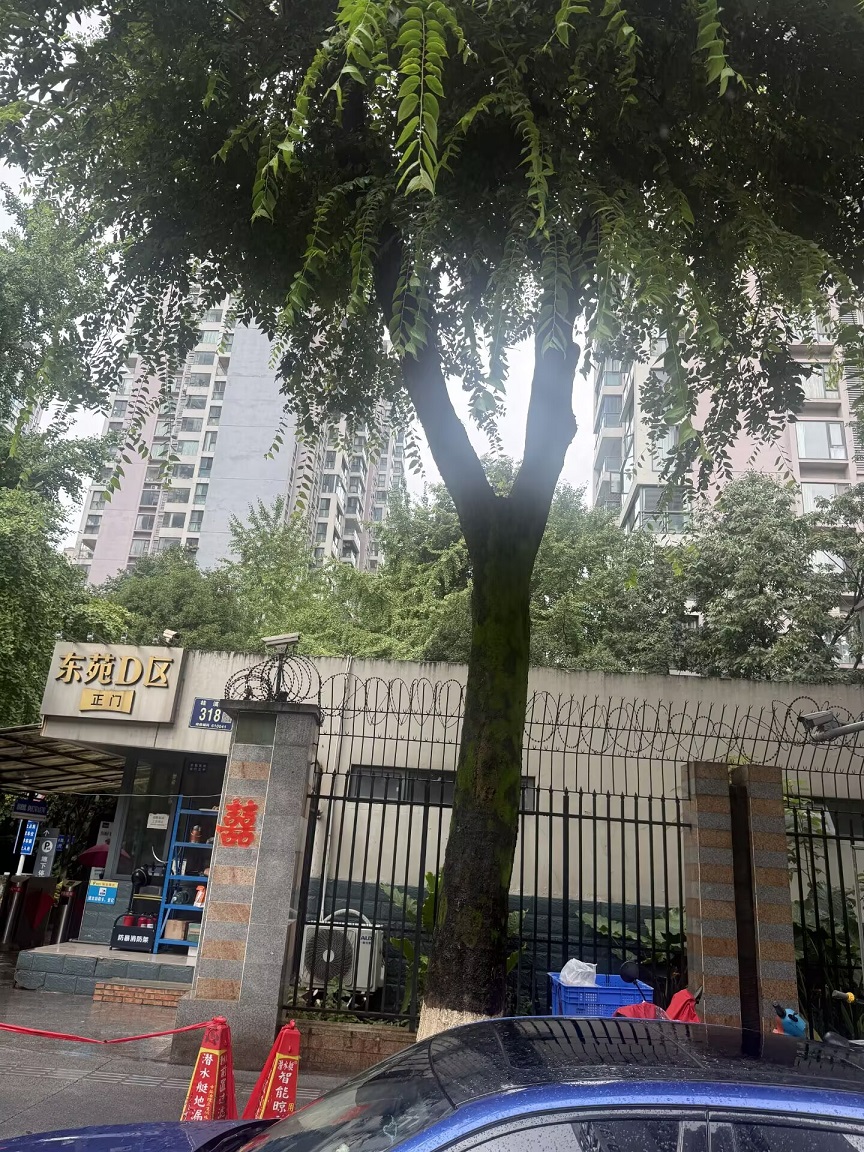 成都二手房装修,成都武侯区装修,成都装修半包,成都东苑D区装修,成都水电改造
