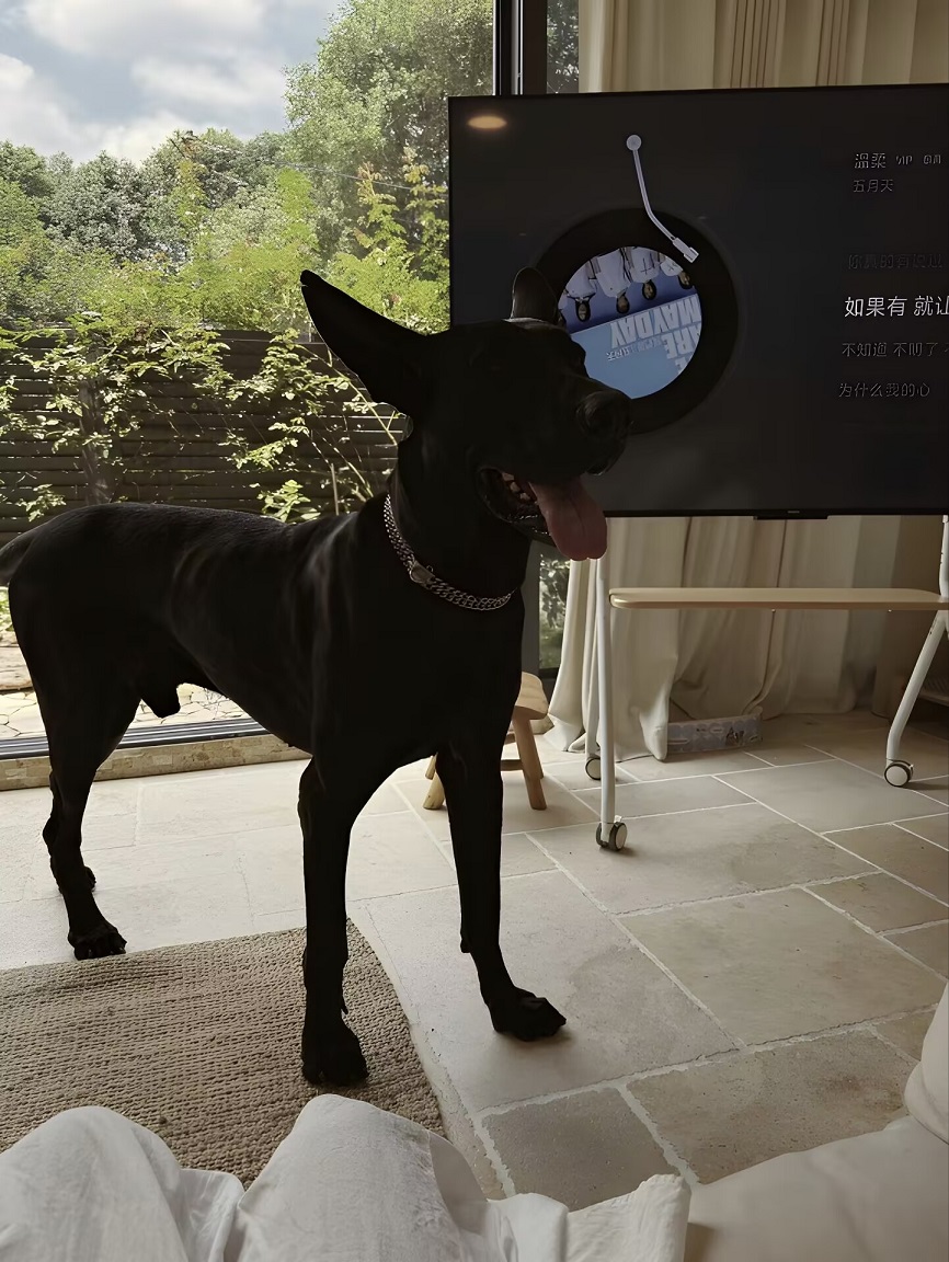 成都温江装修,成都装修半包,隆科熙悦装修